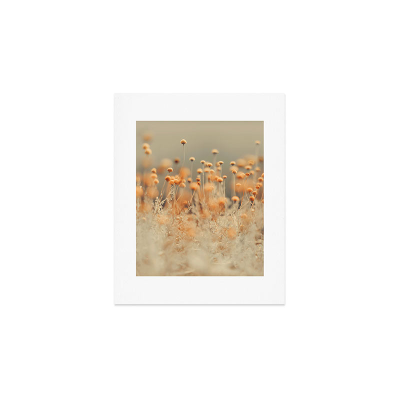 Mustard Yellow Flowers - Flower photography by Ingrid Beddoes Art Print Gallery Image 1