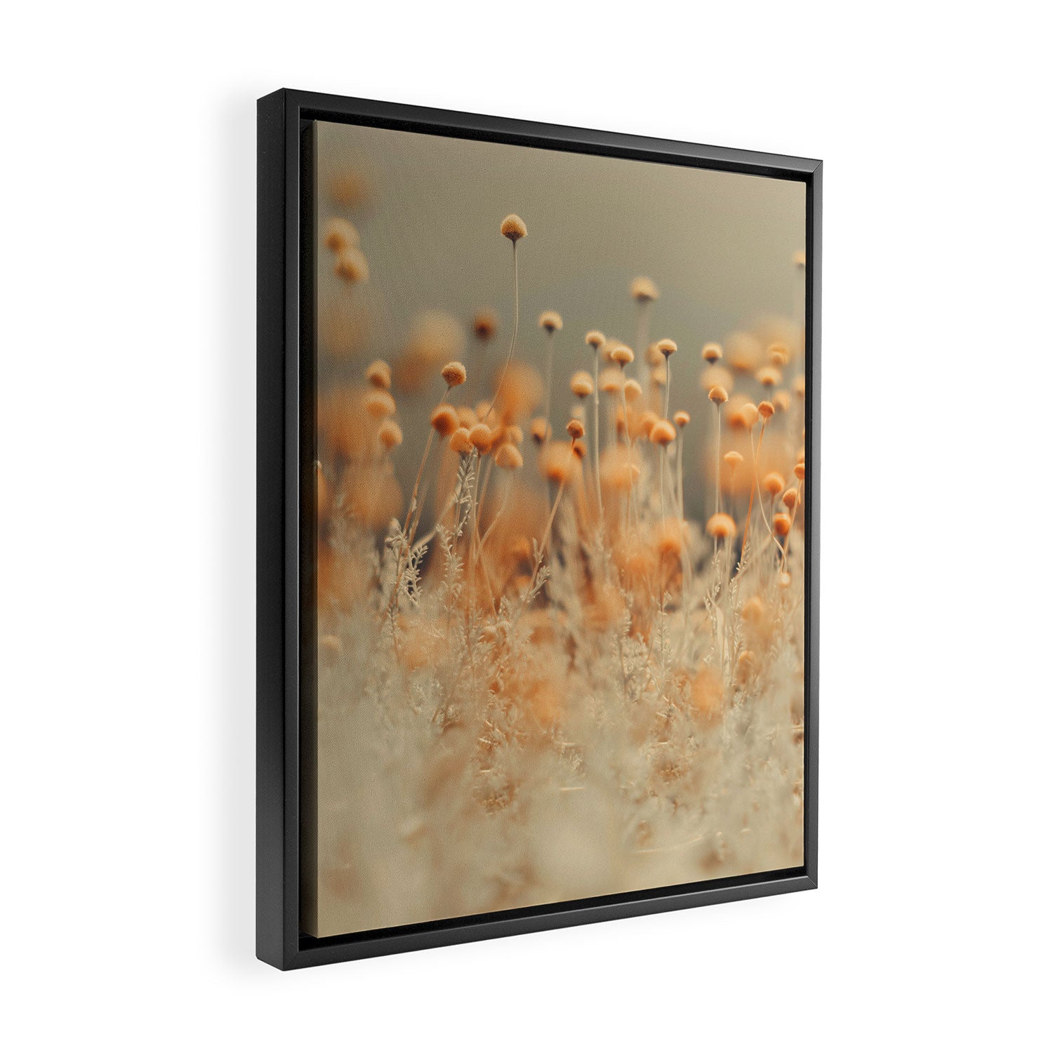 Mustard Yellow Flowers - Flower photography by Ingrid Beddoes Framed Canvas Print Gallery Image 2