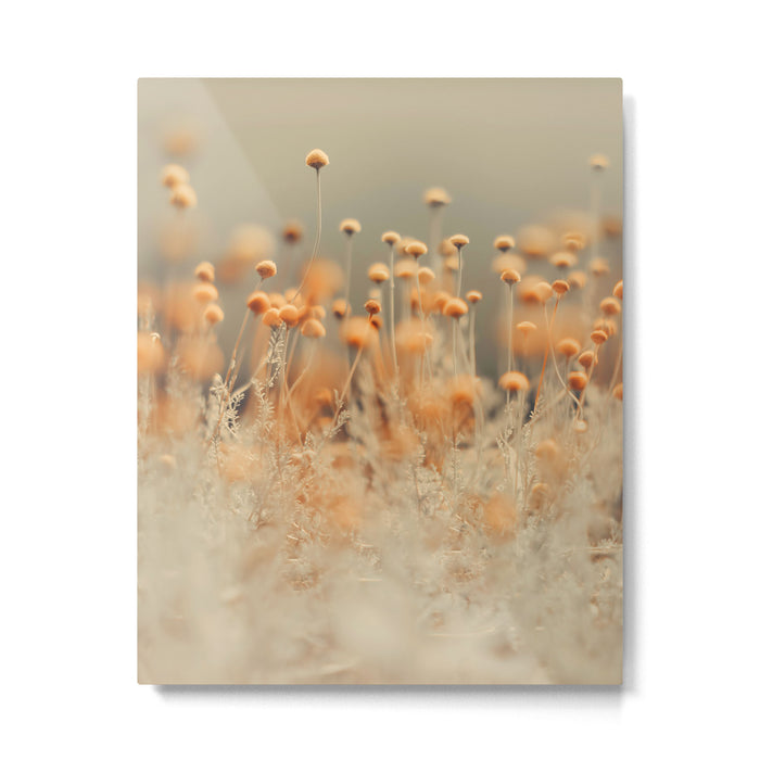 Mustard Yellow Flowers - Flower photography by Ingrid Beddoes Metal Print Gallery Image 1