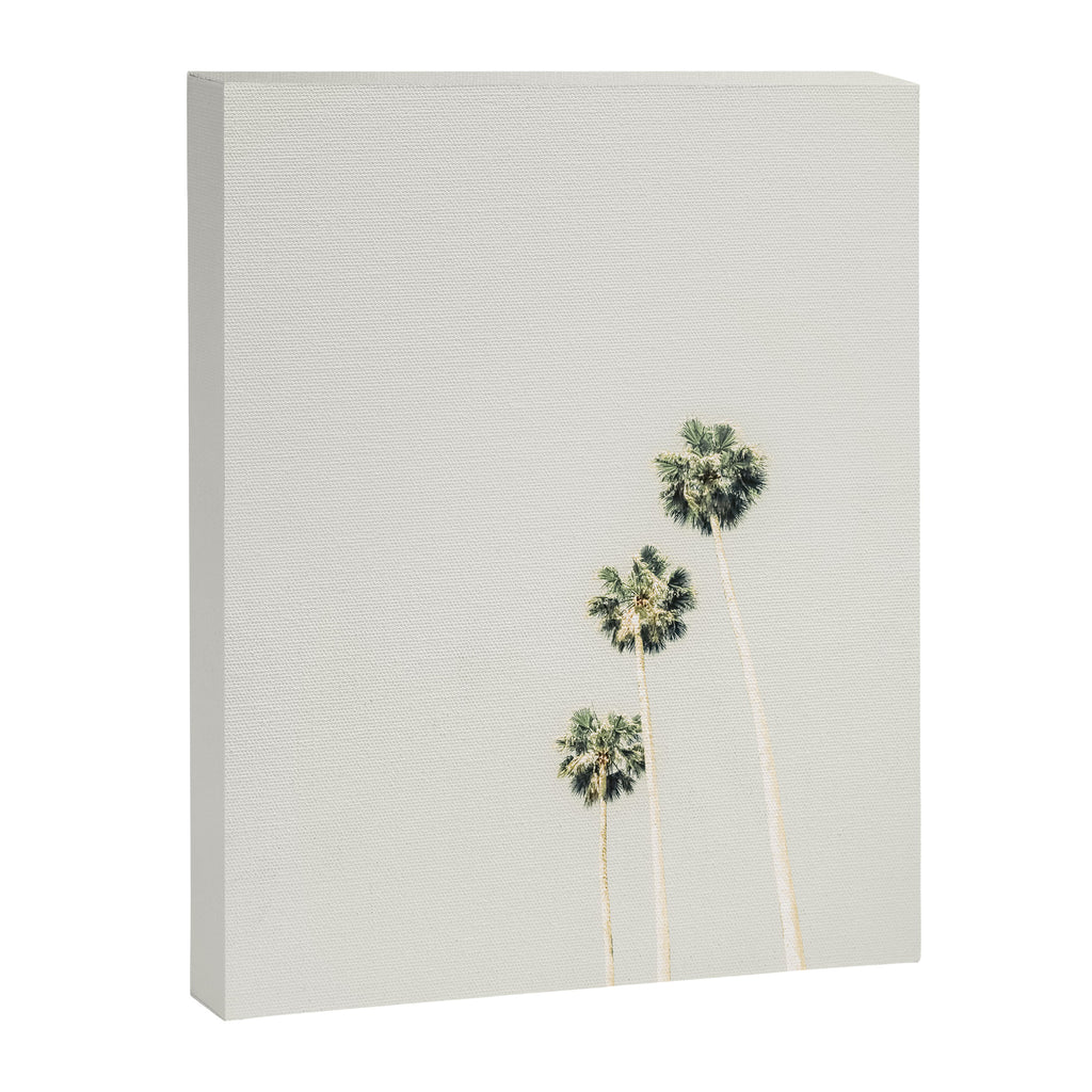 Palm Trees - Minimalist Palm Springs California Travel Photography Canvas Print Gallery Image 6