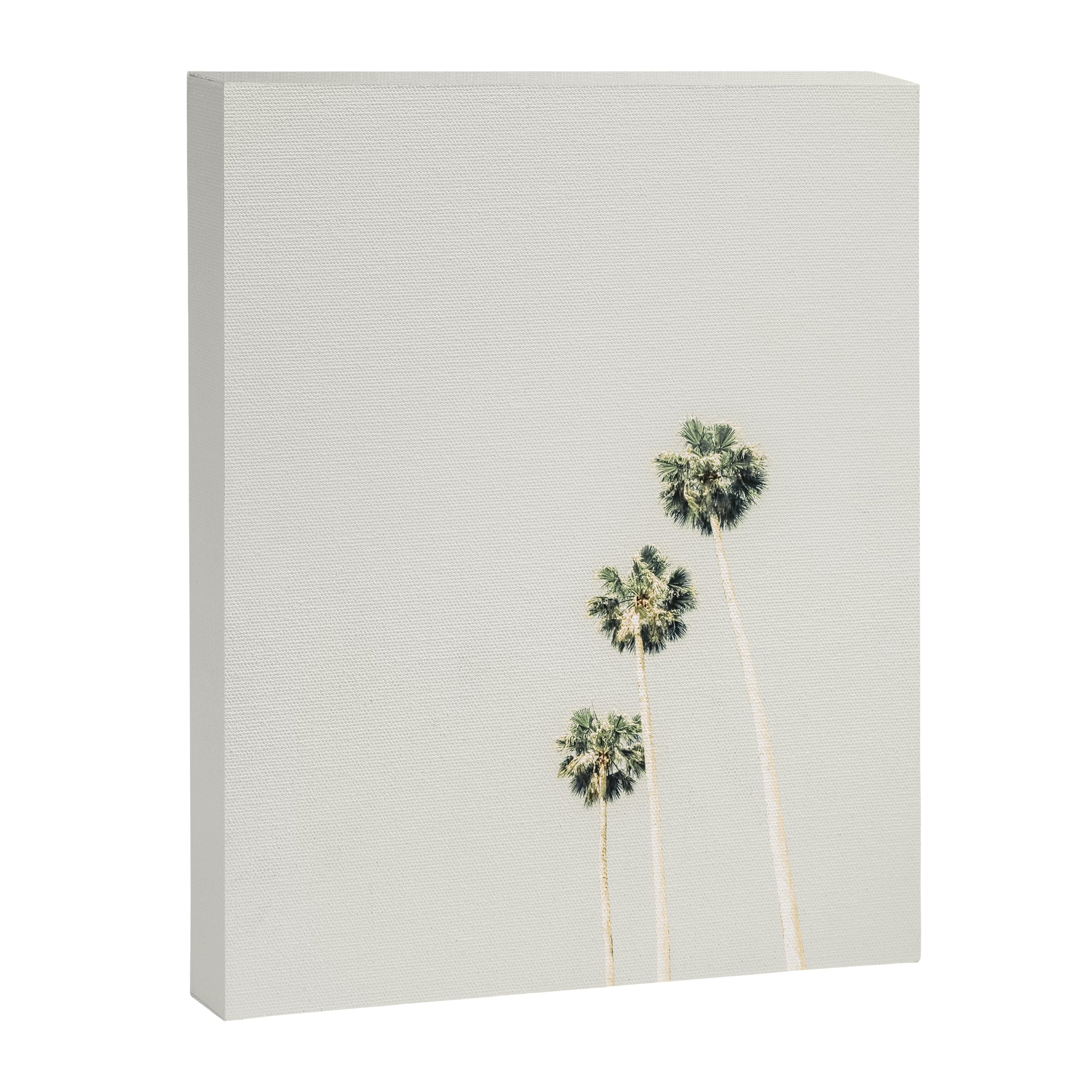 Palm Trees - Minimalist Palm Springs California Travel Photography Canvas Print Gallery Image 6