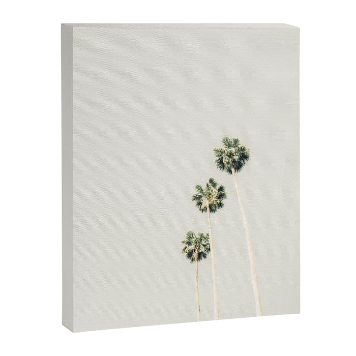 Palm Trees - Minimalist Palm Springs California Travel Photography Canvas Print Gallery Image 1