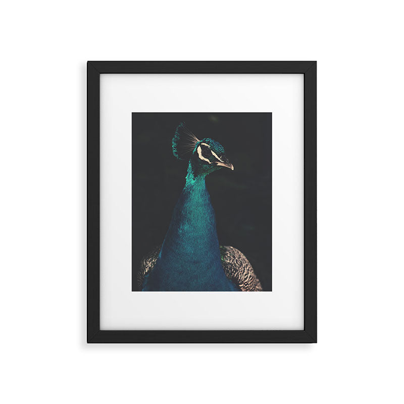 Peacock and Proud - Beautiful Bird photography by Ingrid Beddoes Framed Art Print Gallery Image 5
