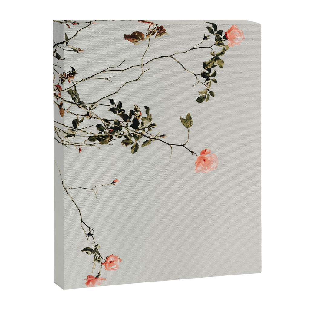 Pink Wild Roses - Minimal Flower Photography by Ingrid Beddoes Canvas Print Gallery Image 6