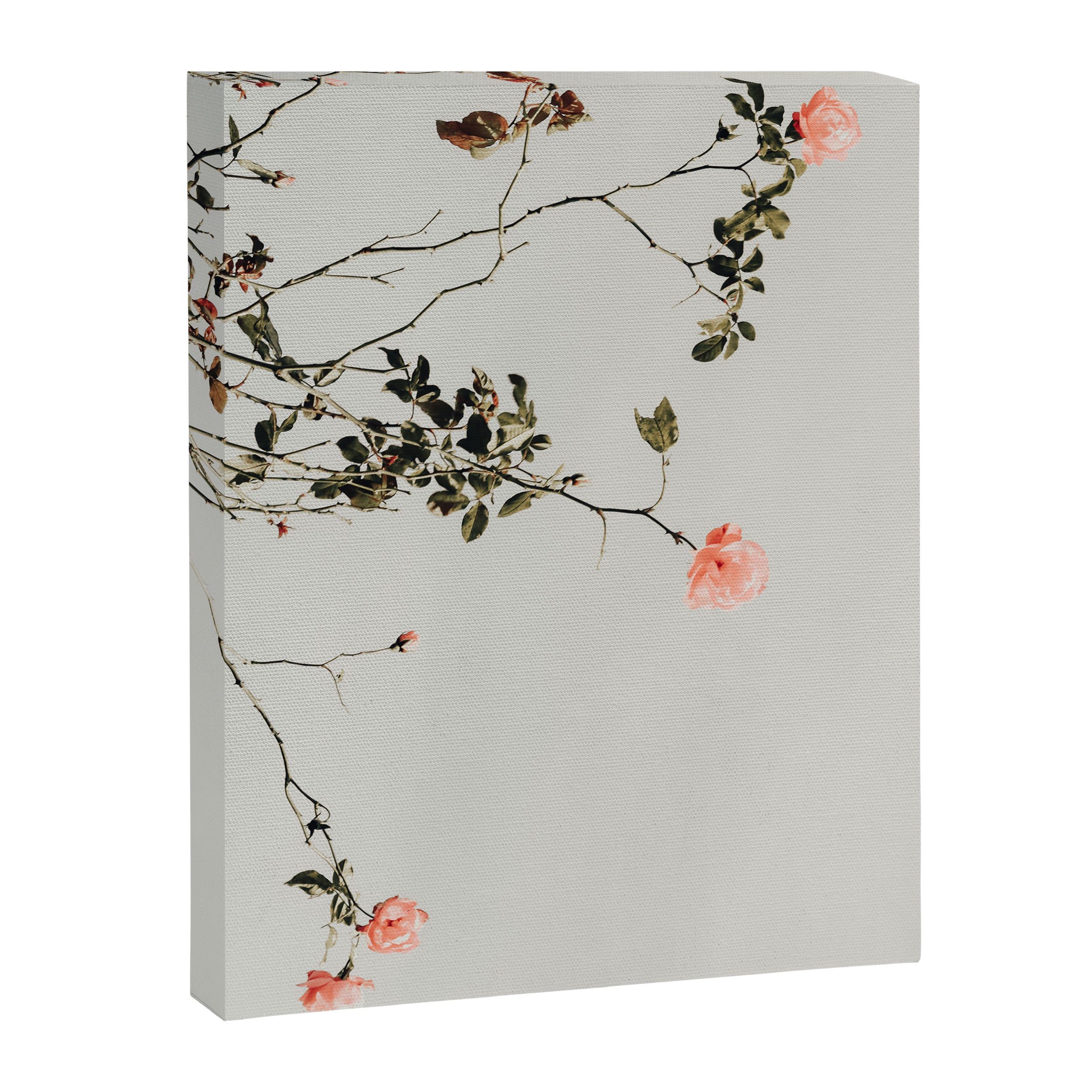 Pink Wild Roses - Minimal Flower Photography by Ingrid Beddoes Canvas Print Gallery Image 6