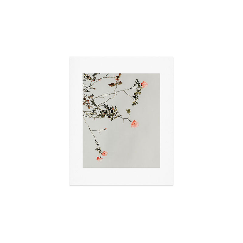 Pink Wild Roses - Minimal Flower Photography by Ingrid Beddoes Art Print Gallery Image 1