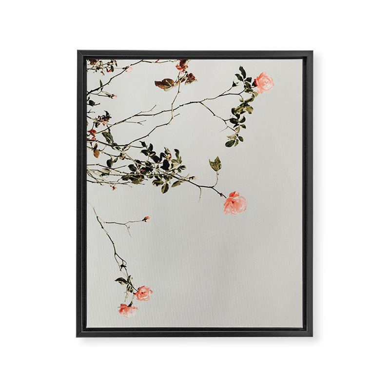 Pink Wild Roses - Minimal Flower Photography by Ingrid Beddoes Framed Canvas Print Gallery Image 6