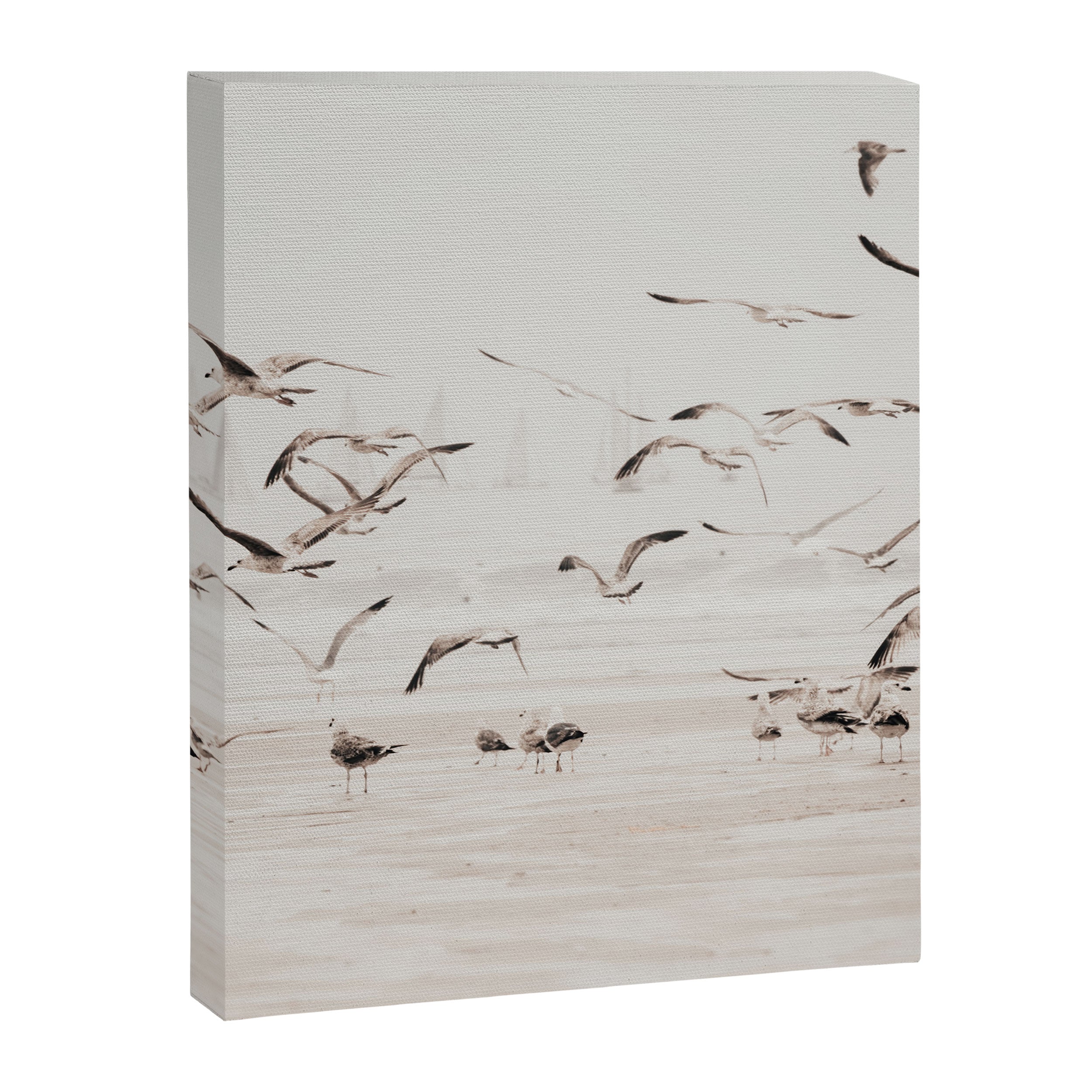 Sail Boats and Seagulls - Beach - Ocean Travel photography Canvas Print Gallery Image 6