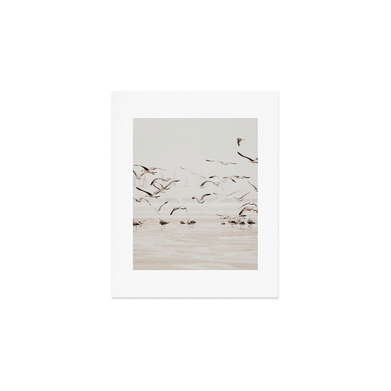Sail Boats and Seagulls - Beach - Ocean Travel photography Art Print Gallery Image 1