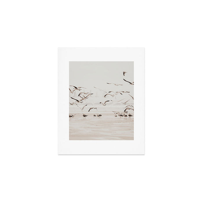 Sail Boats and Seagulls - Beach - Ocean Travel photography Art Print Gallery Image 1