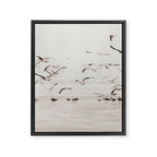 Sail Boats and Seagulls - Beach - Ocean Travel photography Framed Canvas Print Gallery Image 6