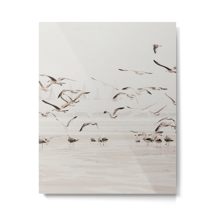 Sail Boats and Seagulls - Beach - Ocean Travel photography Metal Print Gallery Image 1