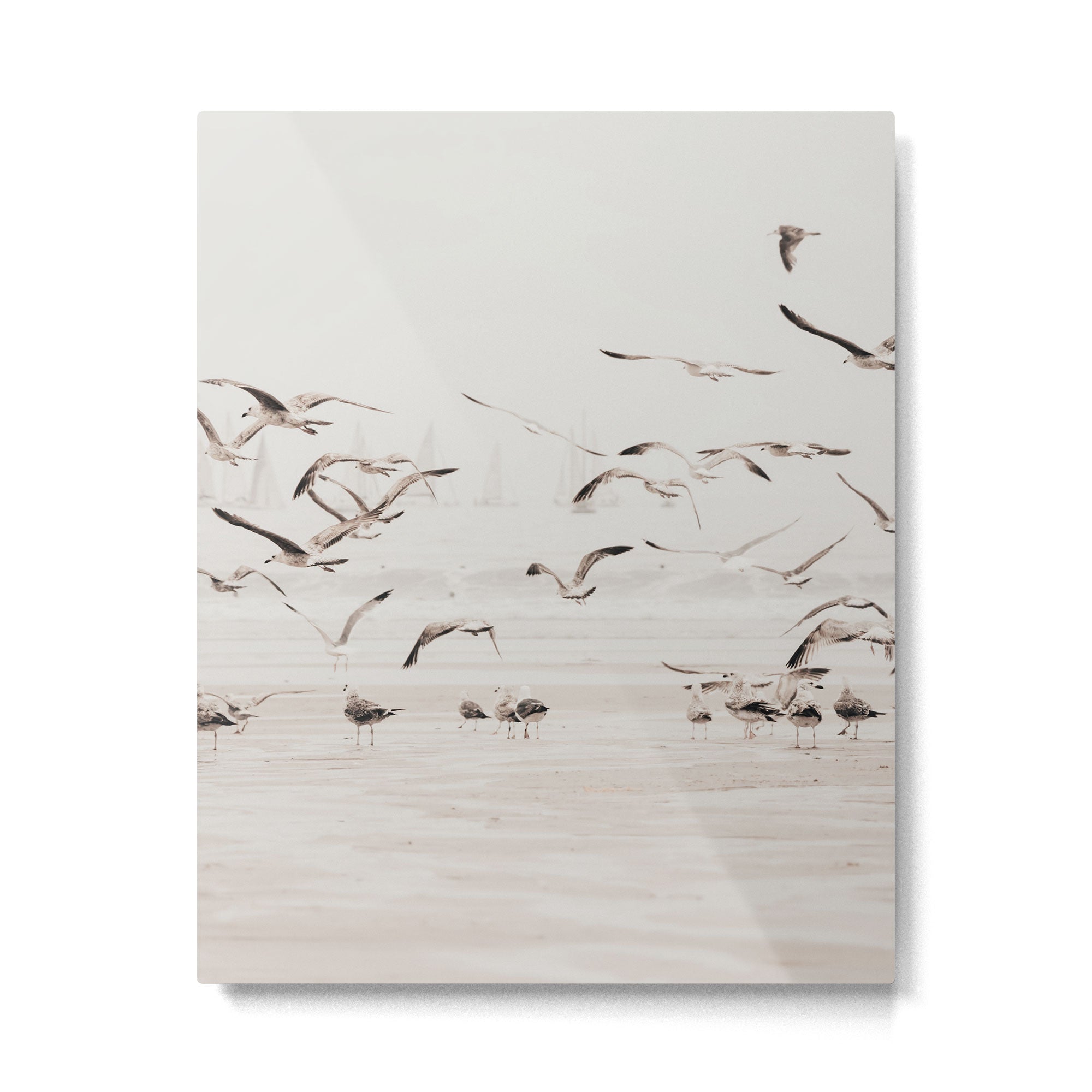 Sail Boats and Seagulls - Beach - Ocean Travel photography Metal Print Gallery Image 4