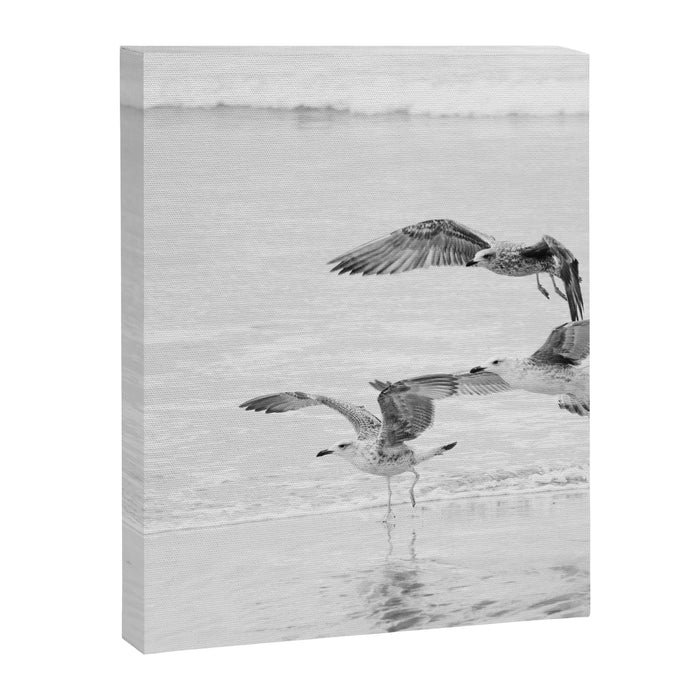 Seagulls Beach Ocean Canvas Print Gallery Image 1