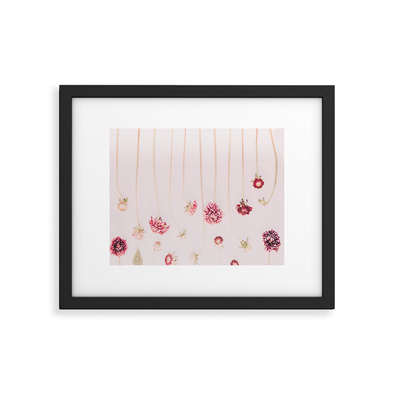 Strawflowers - Pink Flowers by Ingrid Beddoes Framed Art Print Gallery Image 4