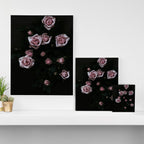 Velvet Rose Pink - Elegant Rose Flower photography by Ingrid Beddoes Canvas Print Gallery Image 3