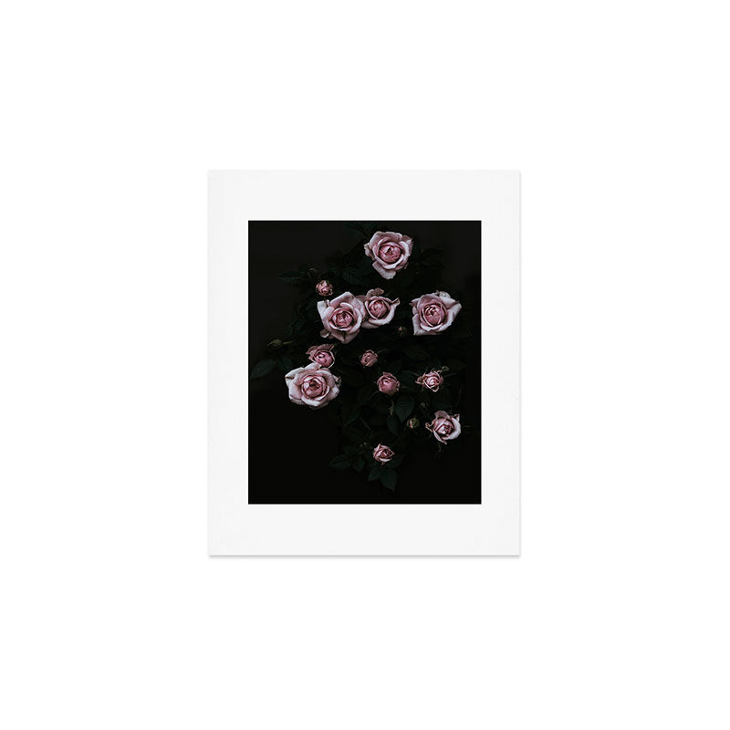 Velvet Rose Pink - Elegant Rose Flower photography by Ingrid Beddoes Art Print Gallery Image 1
