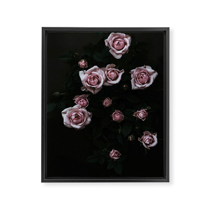 Velvet Rose Pink - Elegant Rose Flower photography by Ingrid Beddoes Framed Canvas Print Gallery Image 6
