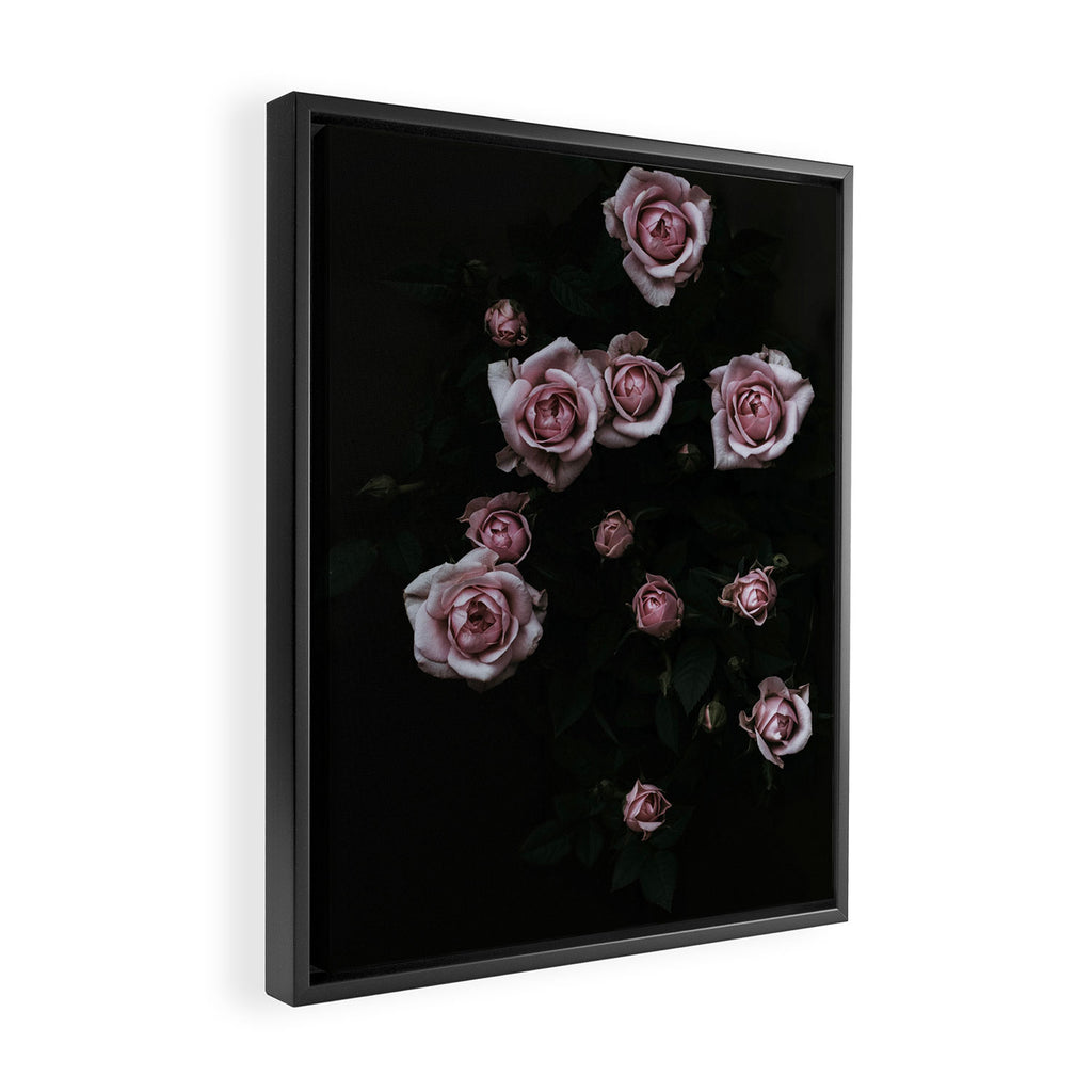 Velvet Rose Pink - Elegant Rose Flower photography by Ingrid Beddoes Framed Canvas Print Gallery Image 2