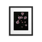 Velvet Rose Pink - Elegant Rose Flower photography by Ingrid Beddoes Framed Art Print Gallery Image 5