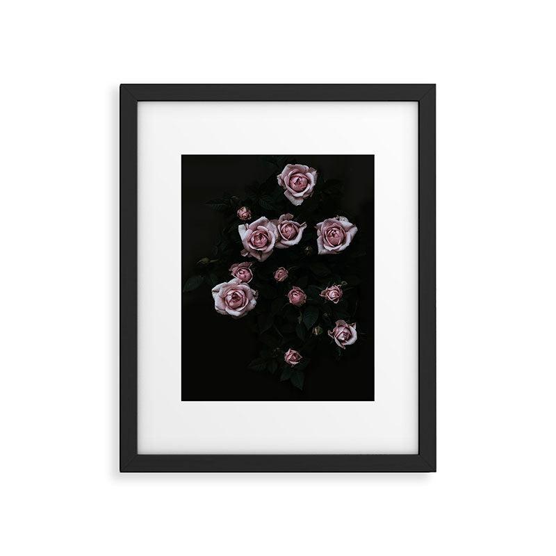 Velvet Rose Pink - Elegant Rose Flower photography by Ingrid Beddoes Framed Art Print Gallery Image 5