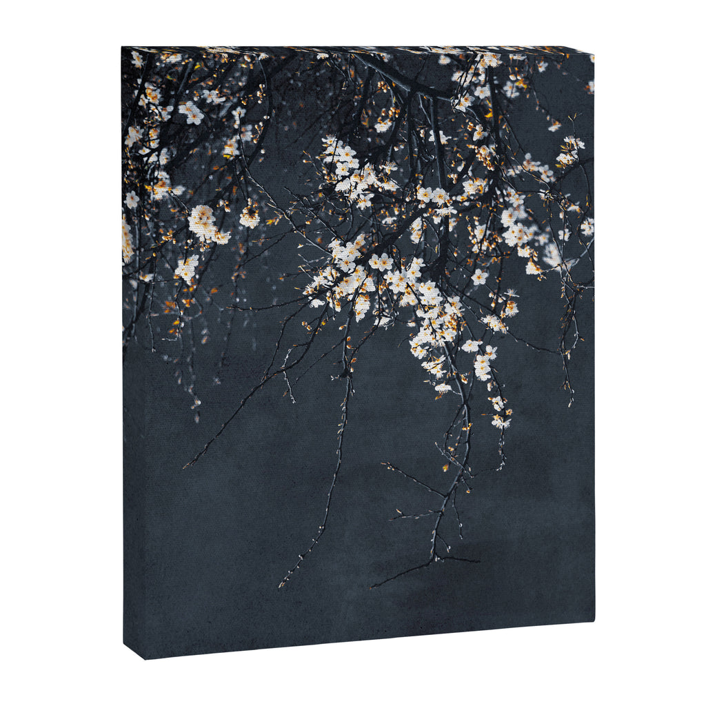 White Blossom Flowers on Blue Texture - Tree - Elegant Floral - Nature photography Canvas Print Gallery Image 6