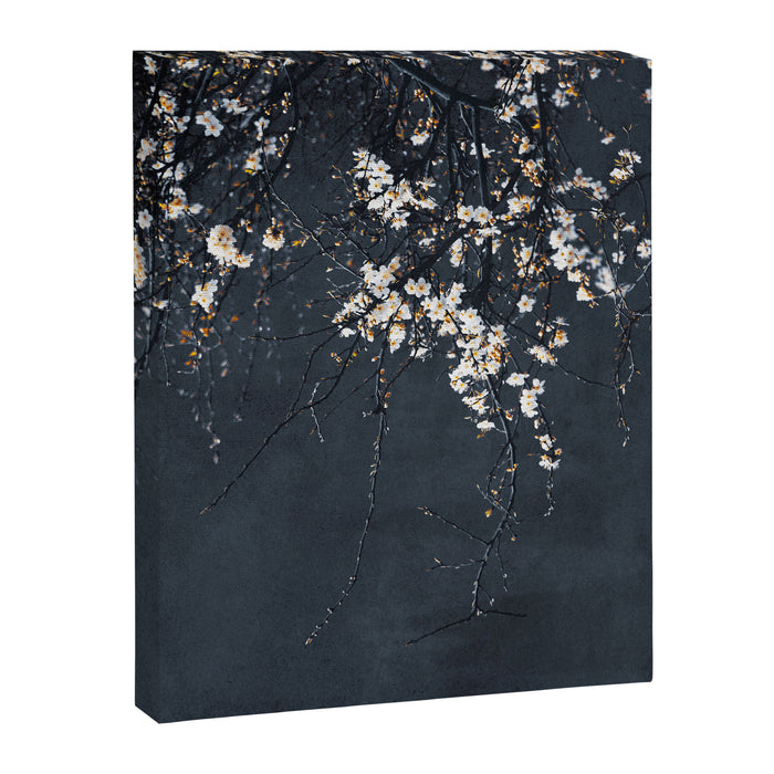 White Blossom Flowers on Blue Texture - Tree - Elegant Floral - Nature photography Canvas Print Gallery Image 1