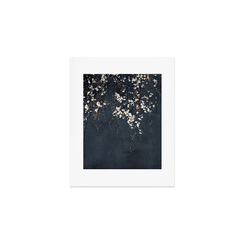 White Blossom Flowers on Blue Texture - Tree - Elegant Floral - Nature photography Art Print Gallery Image 1