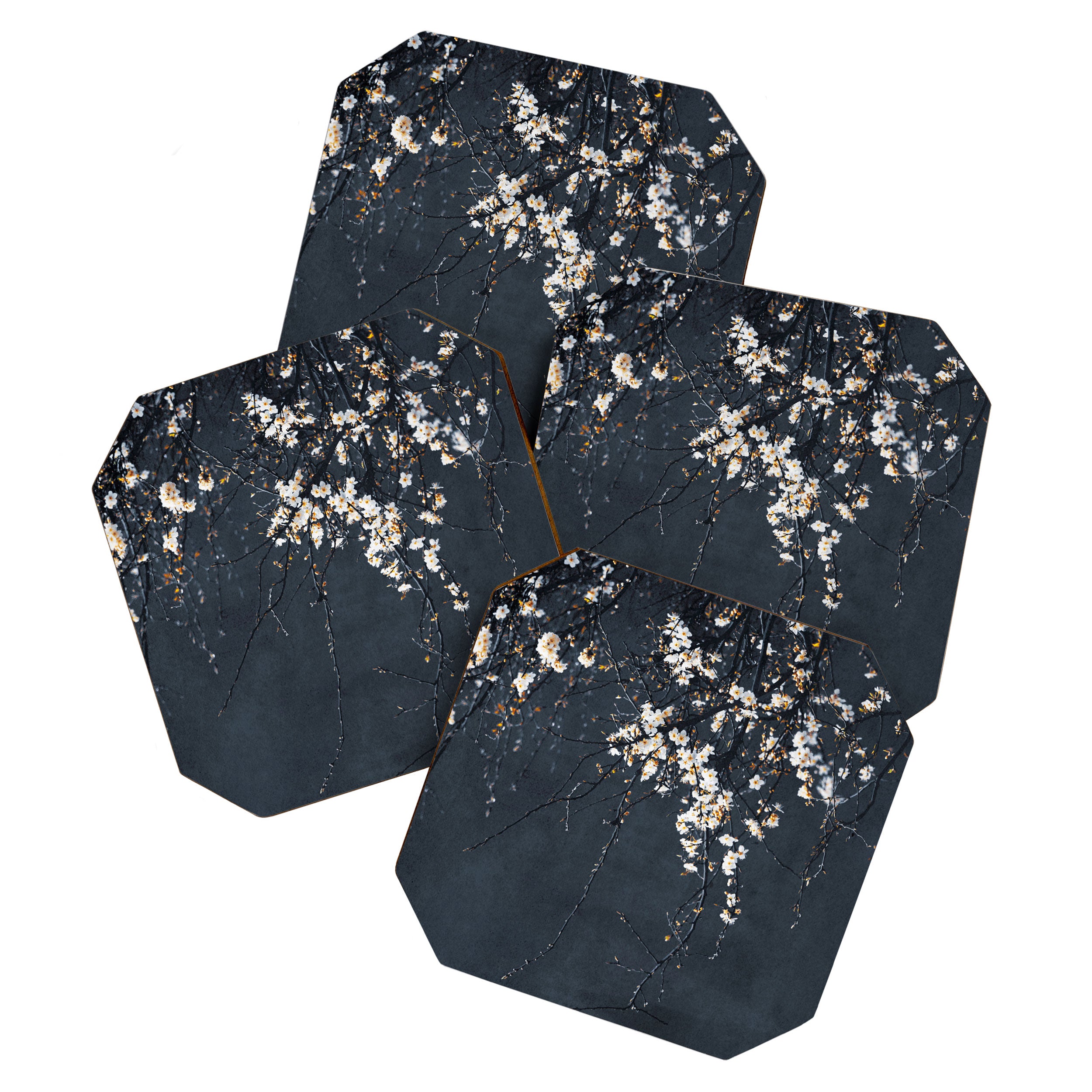 White Blossom Flowers on Blue Texture - Tree - Elegant Floral - Nature photography Coaster Gallery Image 1