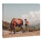 Wild Horses - Horse Photography - Mountains Wanderlust Travel photography by Ingrid Beddoes  Canvas Print Gallery Image 6