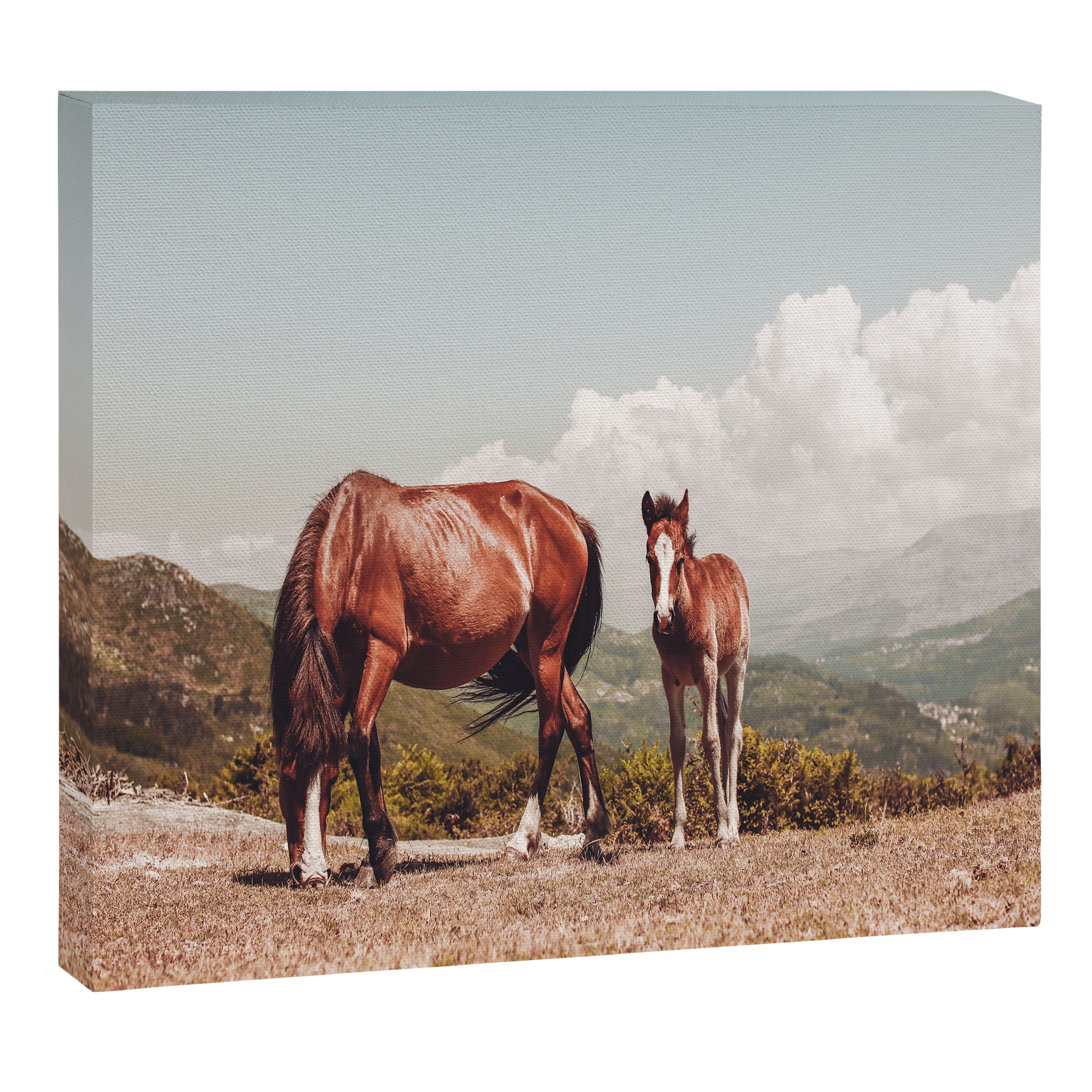 Wild Horses - Horse Photography - Mountains Wanderlust Travel photography by Ingrid Beddoes  Canvas Print Gallery Image 6