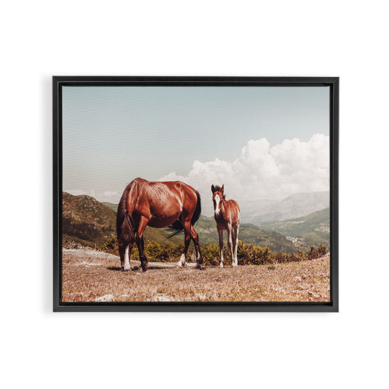 Wild Horses - Horse Photography - Mountains Wanderlust Travel photography by Ingrid Beddoes  Framed Canvas Print Gallery Image 6