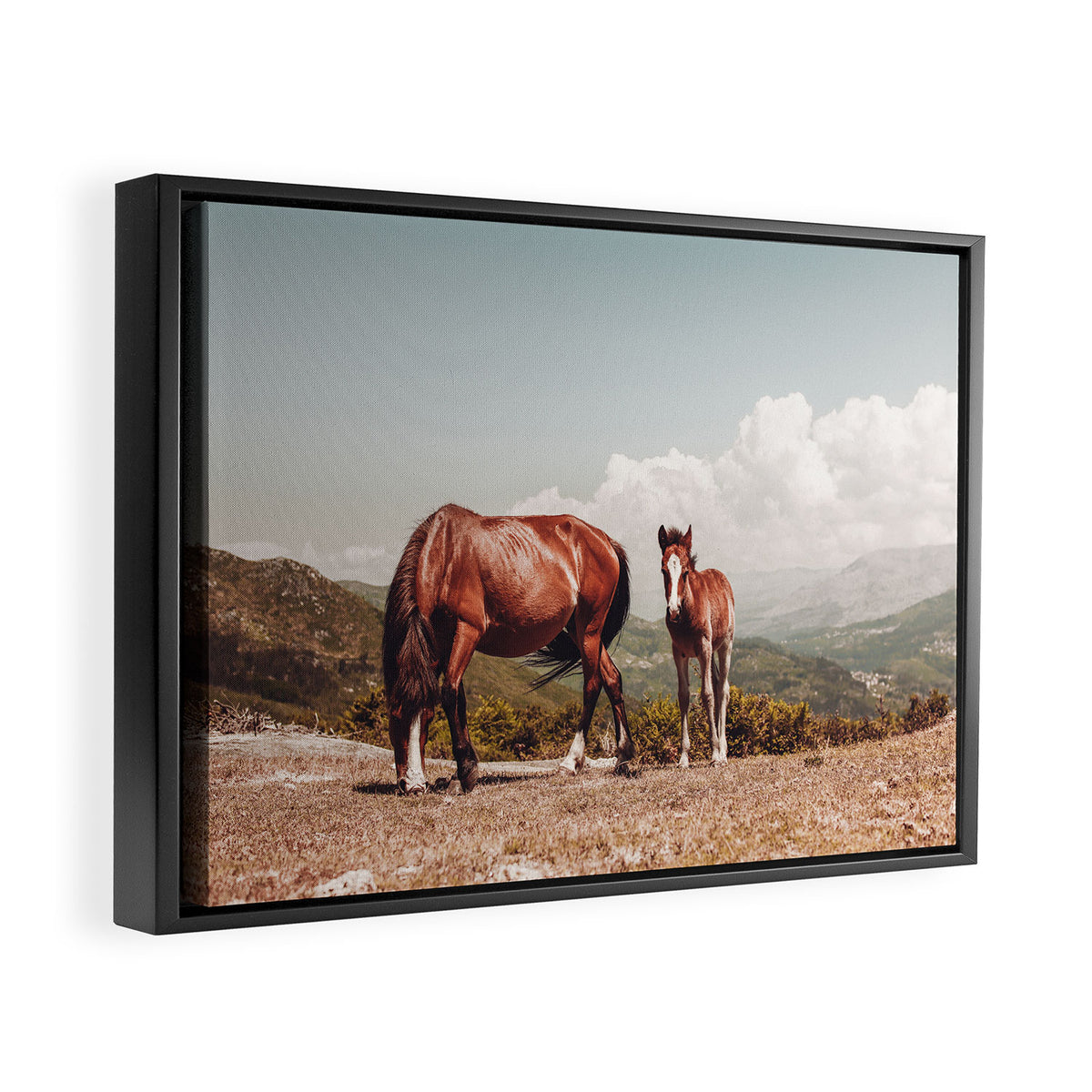 Wild Horses - Horse Photography - Mountains Wanderlust Travel photography by Ingrid Beddoes  Framed Canvas Print Gallery Image 2
