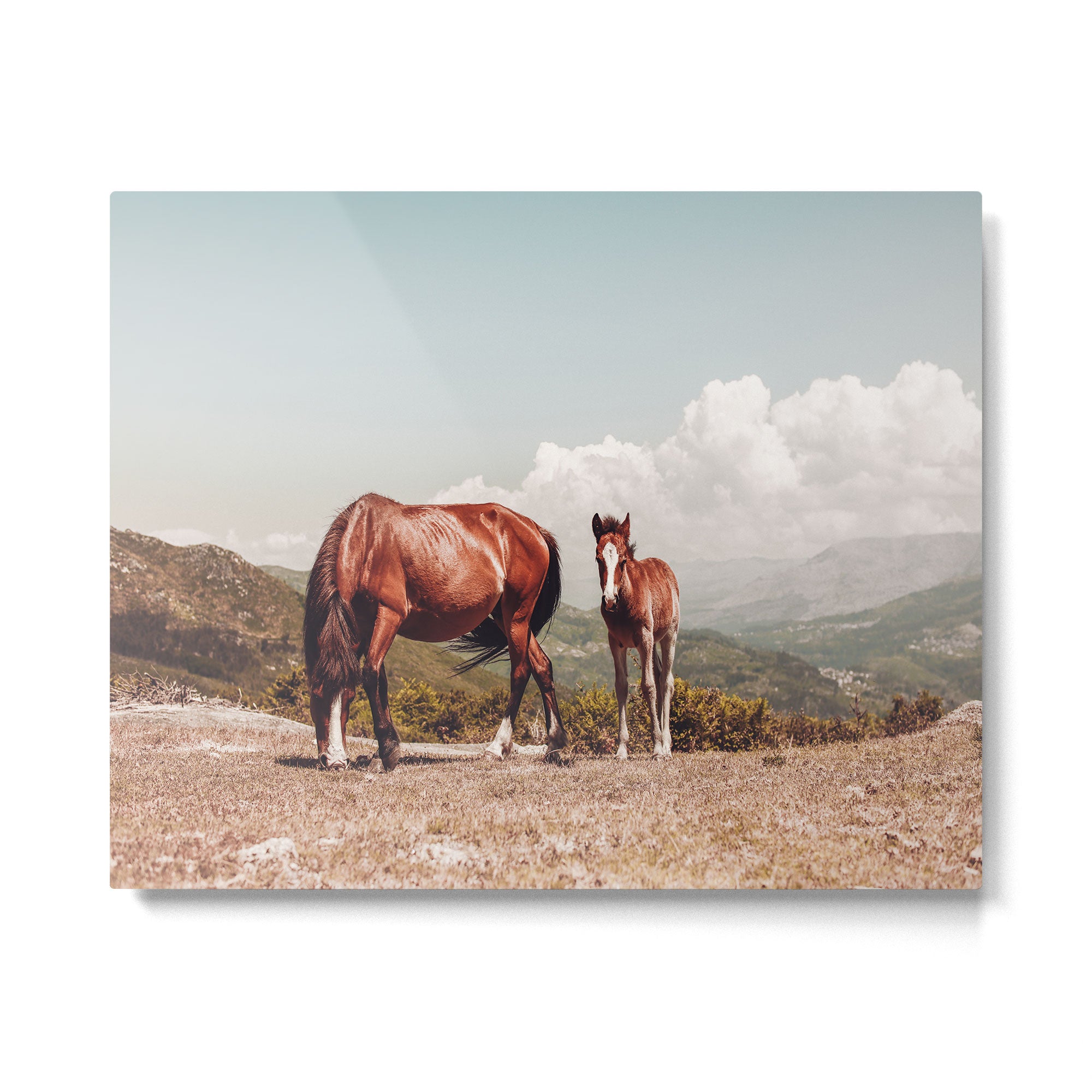 Wild Horses - Horse Photography - Mountains Wanderlust Travel photography by Ingrid Beddoes  Metal Print Gallery Image 4