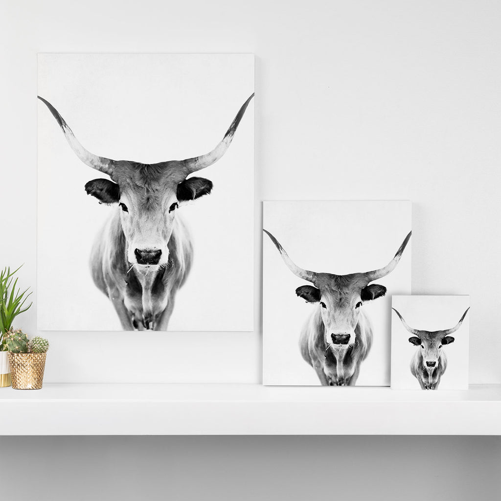 Wild Longhorn Cow Print - Black White Cow Portrait - Animal - Travel photograpy Canvas Print Gallery Image 3