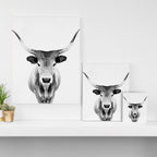Wild Longhorn Cow Print - Black White Cow Portrait - Animal - Travel photograpy Canvas Print Gallery Image 3
