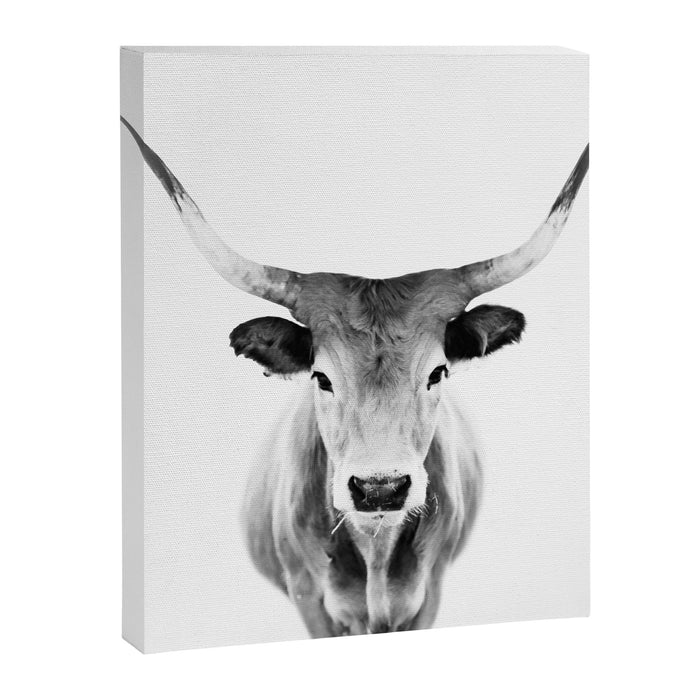 Wild Longhorn Cow Print - Black White Cow Portrait - Animal - Travel photograpy Canvas Print Gallery Image 1
