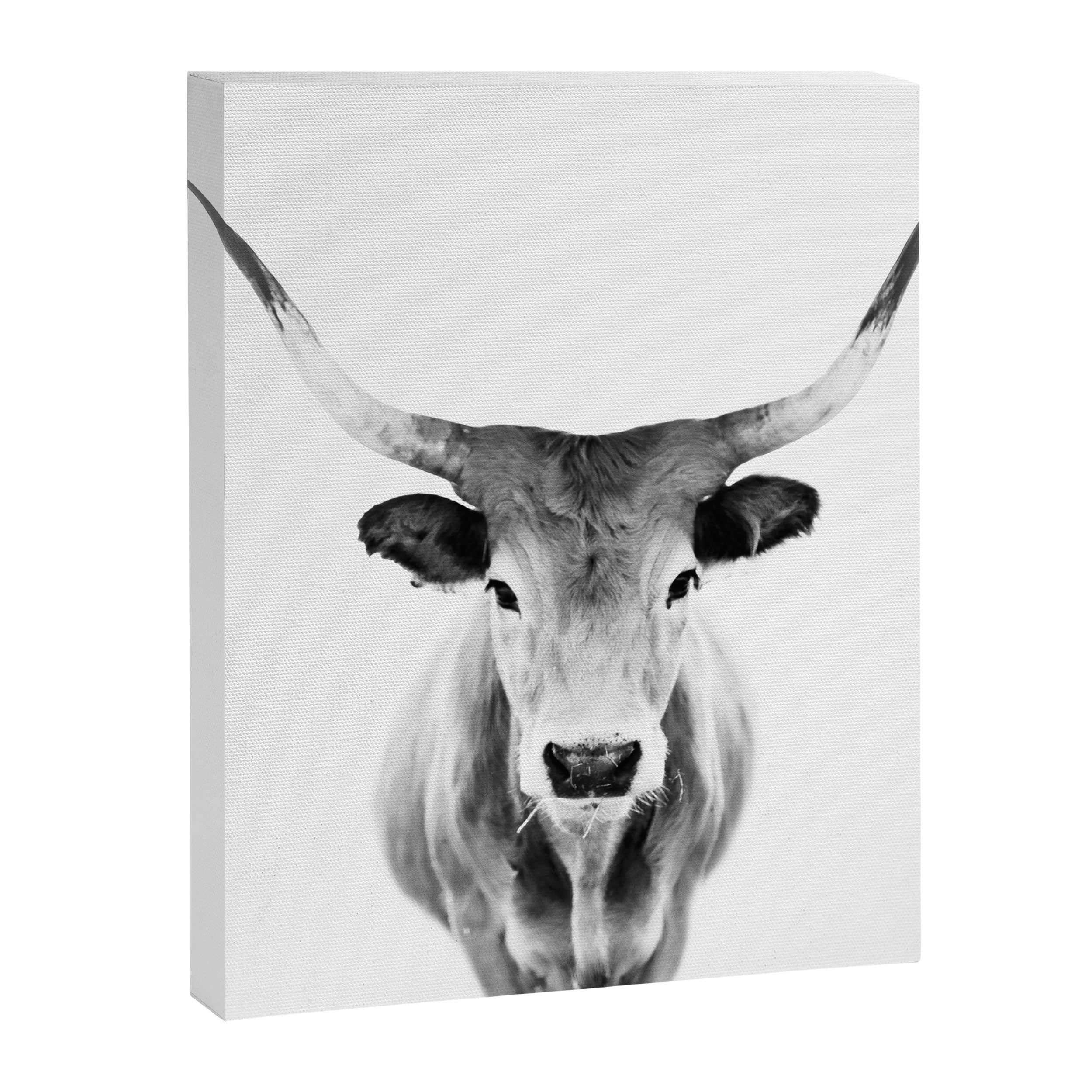 Wild Longhorn Cow Print - Black White Cow Portrait - Animal - Travel photograpy Canvas Print Gallery Image 8