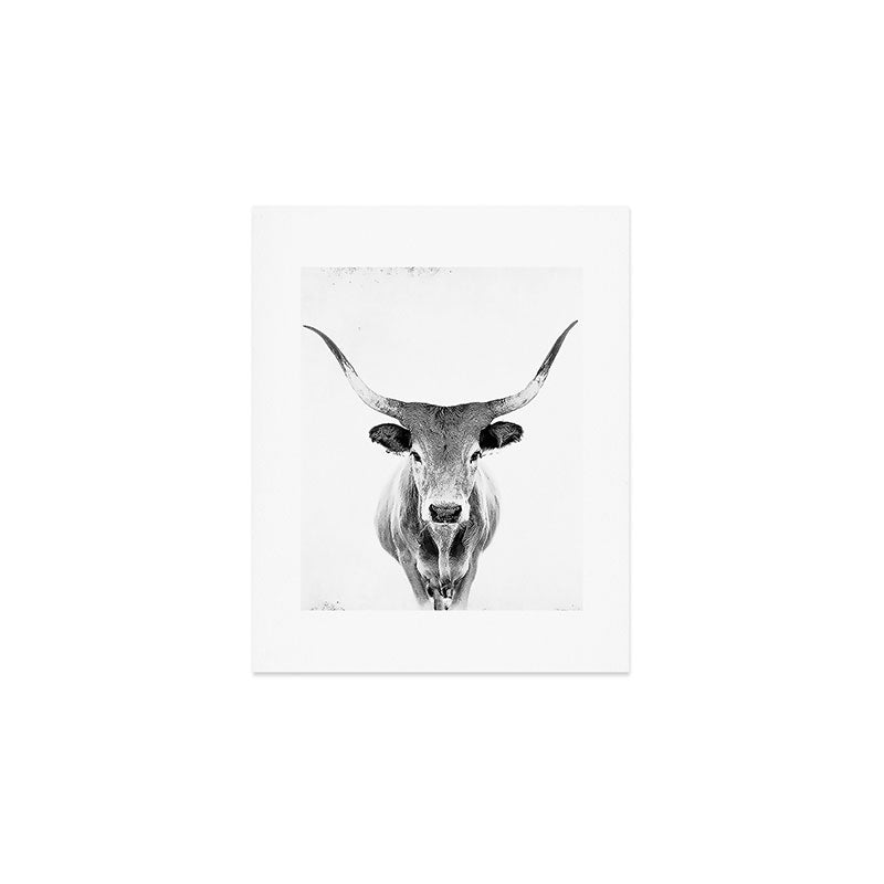 Wild Longhorn Cow Print - Black White Cow Portrait - Animal - Travel photograpy Art Print Gallery Image 1
