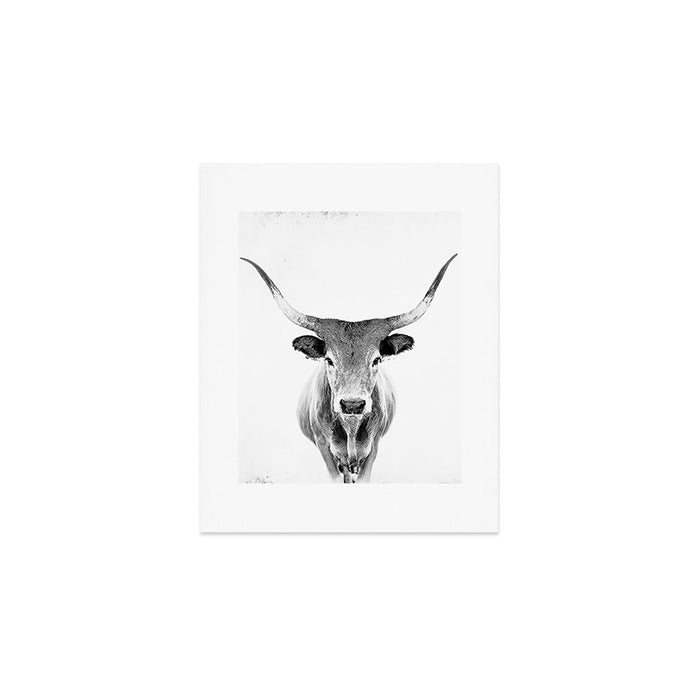 Wild Longhorn Cow Print - Black White Cow Portrait - Animal - Travel photograpy Art Print Gallery Image 1