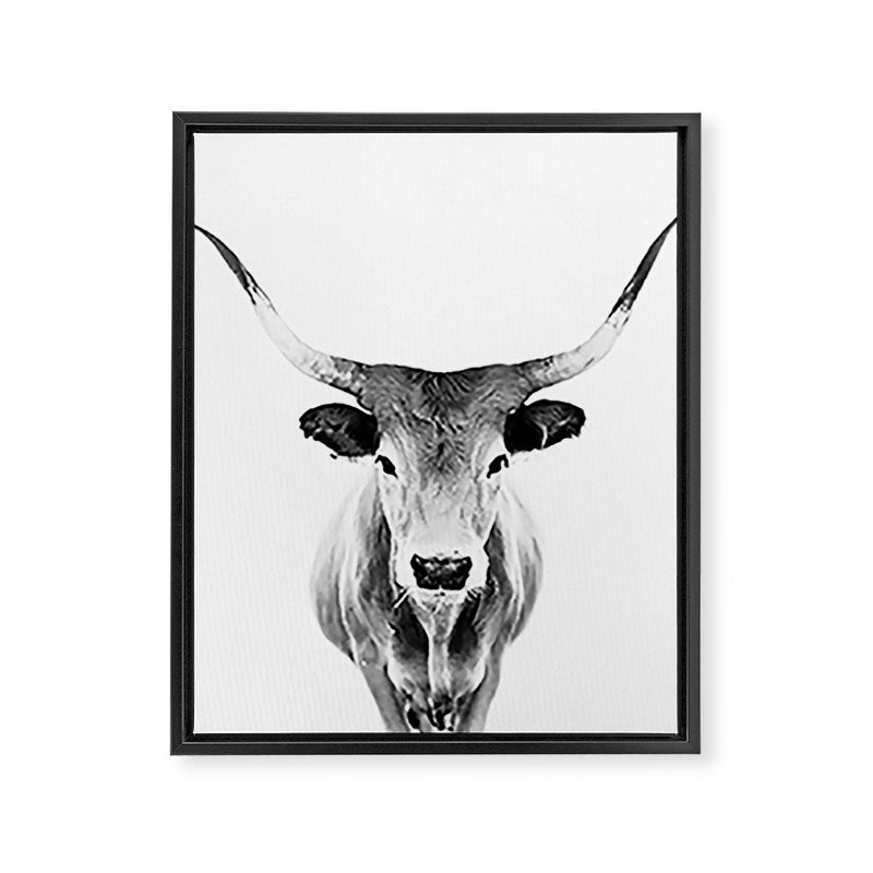 Wild Longhorn Cow Print - Black White Cow Portrait - Animal - Travel photograpy Framed Canvas Print Gallery Image 8
