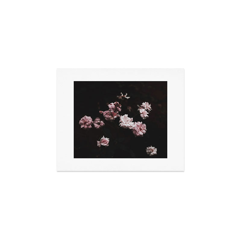 Wild Pink Roses - Flower photography - Dramatic Floral - nature Art Print Gallery Image 1
