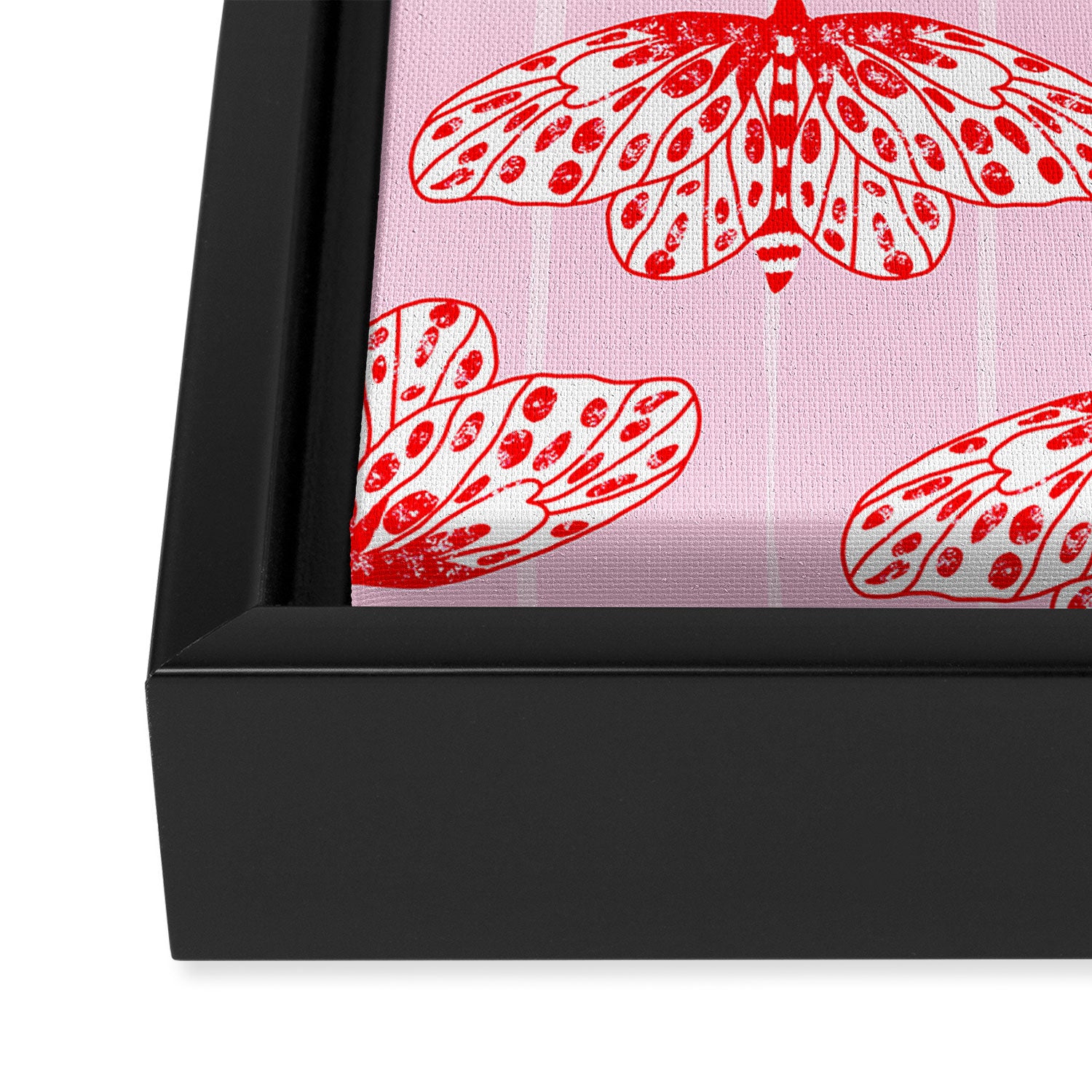 Butterfly Pink Red Framed Canvas Print Gallery Image 3