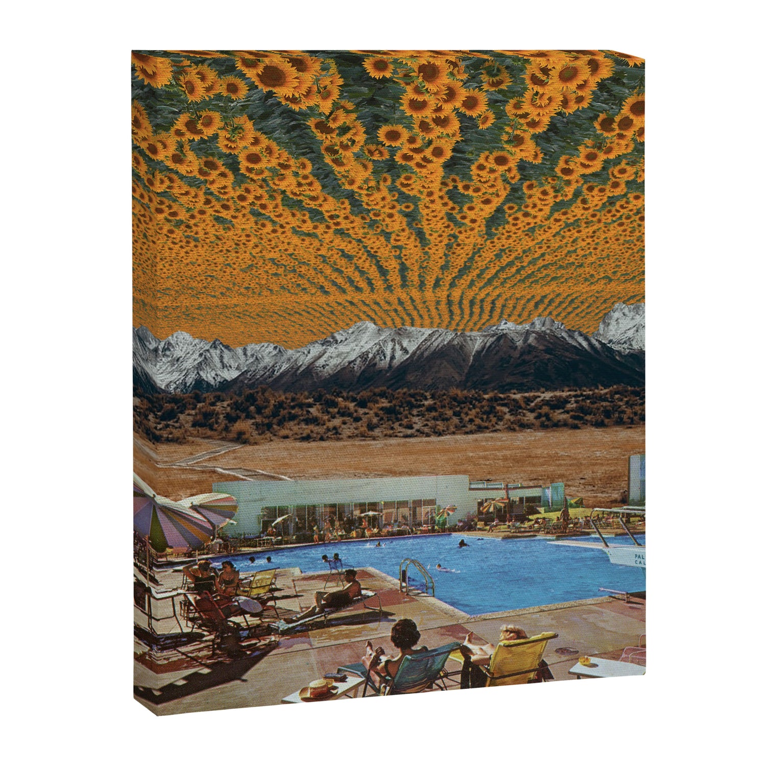 Sunny side up Canvas Print Gallery Image 3