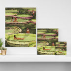 Valley of the Lily Canvas Print Gallery Image 3