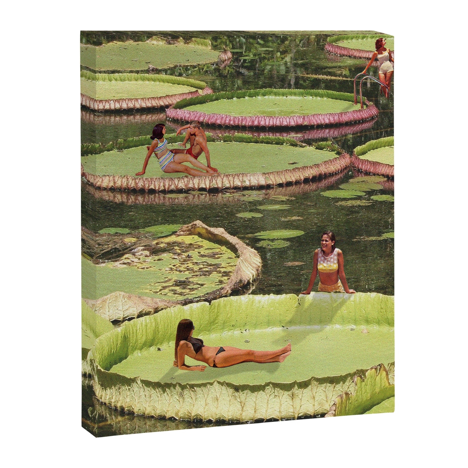 Valley of the Lily Canvas Print Gallery Image 6