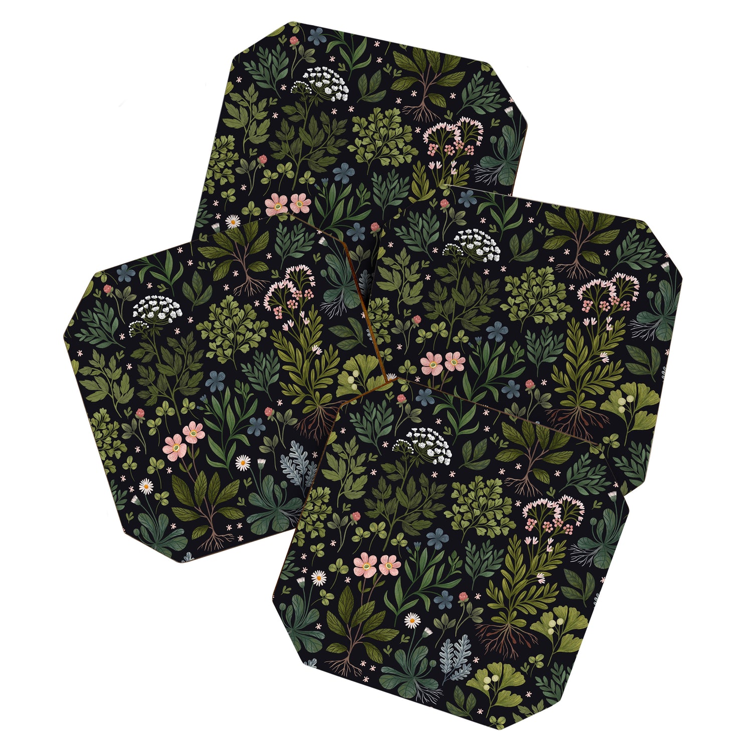 Herbarium ~ vintage inspired botanical art print ~ black Coaster Gallery Image 1