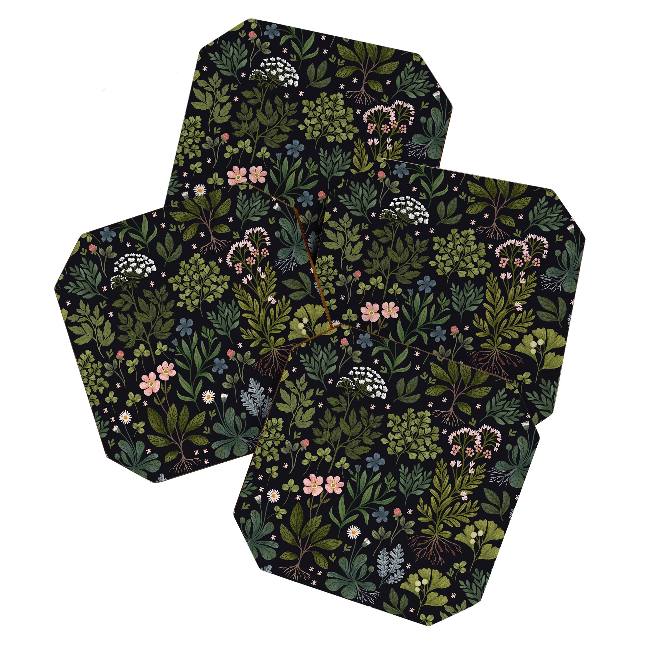 Herbarium ~ vintage inspired botanical art print ~ black Coaster Gallery Image 1