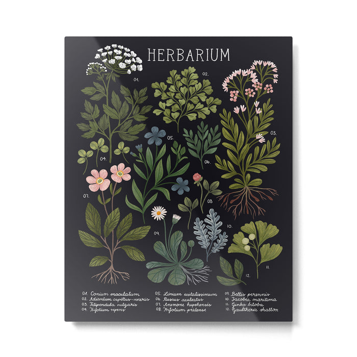 Herbarium ~ vintage inspired botanical art print ~ black Metal Print Gallery Image 1