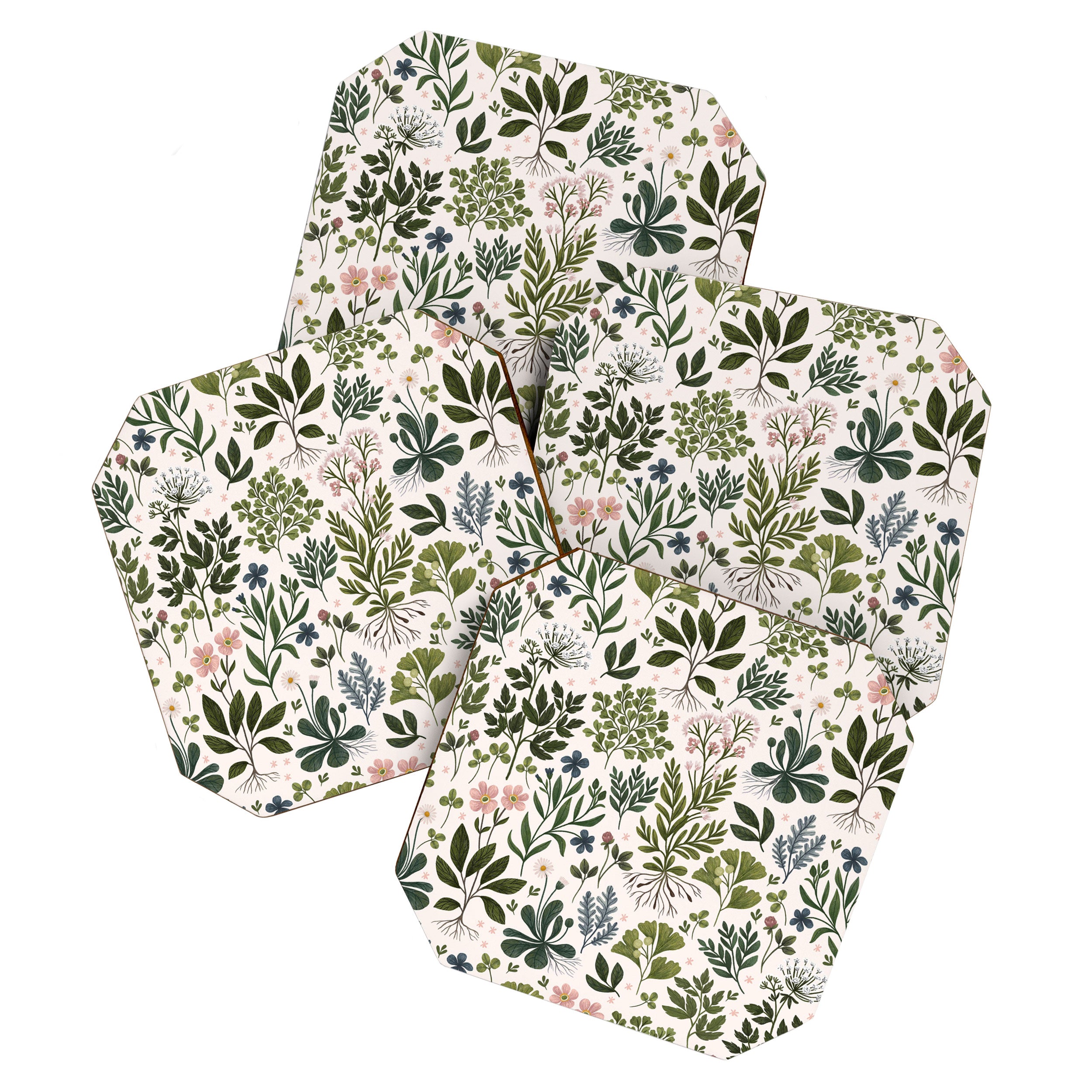Herbarium ~ vintage inspired botanical art print ~ white Coaster Gallery Image 1
